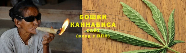 ГАЛЛЮЦИНОГЕННЫЕ ГРИБЫ Арсеньев