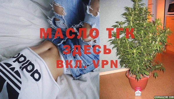 крисы Аркадак