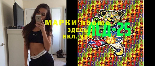 ГАЛЛЮЦИНОГЕННЫЕ ГРИБЫ Арсеньев